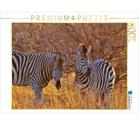 CALVENDO Puzzle Zebras im Morgenlicht - morgendliche Safai | 1000 Teile Lege-Grö
