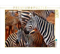 CALVENDO Puzzle Zebras in Tsavo East | 1000 pieces, finished size 25.2 × 18.9 in