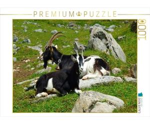CALVENDO Puzzle Ziegen in den Schweizer Alpen 1000 Teile Puzzle quer 1000 Pieces 64 x 48 cm from Kattobello