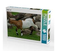 CALVENDO Puzzle Ziegen Lauf 1000 Teile Puzzle quer 1000 Pieces 64 x 48 cm from Kattobello