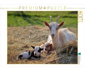 CALVENDO Puzzle Ziegenmutter und Zwei Zicklein 1000 Teile Puzzle quer 1000 Pieces 64 x 48 cm from Sabine Löwer