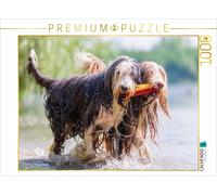 CALVENDO Puzzle Zwei Bearded Collies im Wasser | 1000 Teile Lege-Größe 64x48cm F