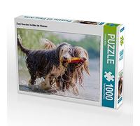 CALVENDO Puzzle Zwei Bearded Collies im Wasser 1000 Teile Puzzle quer 1000 Pieces 64 x 48 cm from Christian Müller