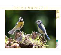 CALVENDO Puzzle Two blue tits on a tree stump | 1000 pieces, finished size 25.2
