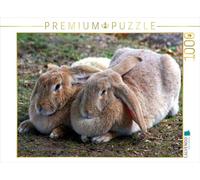 CALVENDO Puzzle Zwei Dicke Freunde 1000 Teile Puzzle quer 1000 Pieces 64 x 48 cm from Kattobello