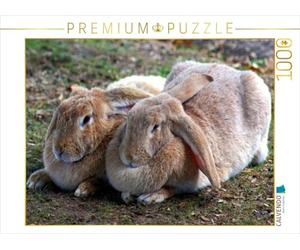 CALVENDO Puzzle Zwei Dicke Freunde 1000 Teile Puzzle quer 1000 Pieces 64 x 48 cm from Kattobello