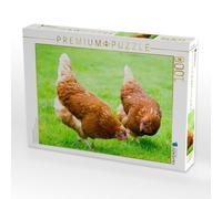 CALVENDO Puzzle Zwei glückliche Hühner 1000 Teile Puzzle quer 1000 Pieces 64 x 48 cm from Carola Vahldiek