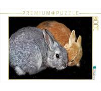 CALVENDO Puzzle Zwei Kaninchen 1000 Teile Puzzle quer 1000 Pieces 64 x 48 cm from Liselotte Brunner-Klaus
