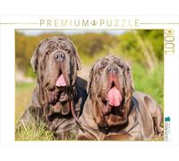 CALVENDO Puzzle Zwei Mastino Napoletano 1000 Teile Puzzle quer 1000 Pieces 64 x 48 cm from Christian Müller