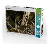 CALVENDO Puzzle Zwei Wanderratten 1000 Teile Puzzle quer 1000 Pieces 64 x 48 cm from Kattobello