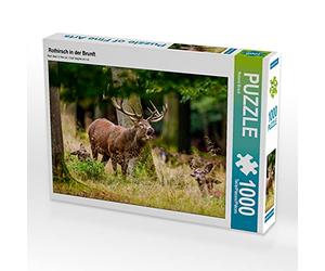 CALVENDO Roland Brack Puzzle Cerf Rouge dans Le puits 1000 pièces Taille de la Pose 64 x 48 cm Photo Puzzle Image