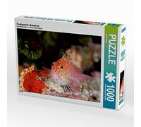 CALVENDO Sven Gruse Puzzle Portrait de Poisson Maldives 1000 pièces Taille de la Pose 64 x 48 cm Photo Puzzle Image