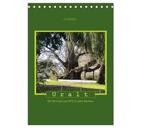 CALVENDO - Uralt - Avec code QR et GPS sur les vieux arbres (calendrier de bureau 2027 DIN A5 haut), calendrier mensuel : avec code QR et GPS sur les arbres anciens