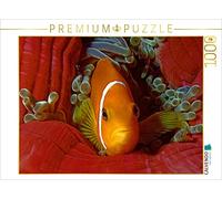 CALVENDO Ute Niemann - Puzzle Nemo comme sur Velours - 1000 pièces - Dimensions : 64 x 48 cm