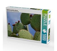CALVENDO Uwela Puzzle Opuntia Leucotricha, Mexico 1000 pièces Taille de la Pose 64 x 48 cm Photo Puzzle Image