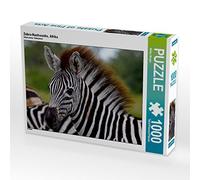 CALVENDO Wibke Woyke - Puzzle de progéniture zèbre Africain 1000 pièces - Taille de la Pose 64 x 48 cm