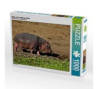 CALVENDO Wibke Woyke Puzzle Hippopotame sur la Campagne Afrique 1000 pièces Taille de la Pose 64 x 48 cm Photo Puzzle Image