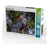 CALVENDO Wibke Woyke Puzzle Léopard dans l'arbre Afrique 1000 pièces Taille de la Pose 64 x 48 cm Photo Puzzle Image