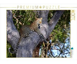 CALVENDO Wibke Woyke Puzzle Léopard dans l'arbre Afrique 1000 pièces Taille de la Pose 64 x 48 cm Photo Puzzle Image