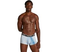 Calvin Klein Boxer Caleçon Homme Low Rise avec Ceinture Emblématique, Bleu (Palm Leaf Stripe_Light Blue), XL