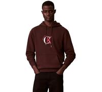 Calvin Klein Ls EU 350Terry Graphic Hoodie Lv04Re255G Sweatshirts, Brown (Rich Brown), M Homme