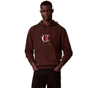 Calvin Klein LS EU 350TERRY Graphic Hoodie LV04RE255G Sweatshirts, Marron (Rich Brown), M, Marron (Rich Brown), M