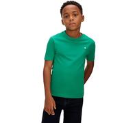 Calvin Klein Mono Mini Badge Reg T-Shirt Lv1cksja30 S/S, Green (Lush Meadow 18-5845 TCX), 10 Ans Mixte Enfant