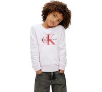 Calvin Klein Sweat-Shirt à Enfiler Mixte