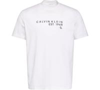 Calvin Klein T-Shirt Graphique pour Homme SS 30S EU en Gros LV04RF800G T-Shirts Graphiques, Blanc, XL