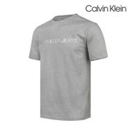 Calvin Klein T-Shirt Hologram Logo Gris XS