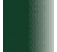 Cam Vert Noir P018 Gamme Air - Pot De 17ml - Prince August