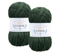 CAMAL 2 Pièces Tshirt Yarn, 100g/60m Fil T Shirt Crochet pour Sac, Étincelle Fil Tshirt, Luxueux Trapilho Crochet Yarn pour Couvertures, Tissus, Décoration Intérieure (Vert foncé)