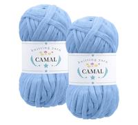 CAMAL 2 Pièces Tshirt Yarn, 100g/60m Fil T Shirt Crochet pour Sac, Étincelle Fil Tshirt, Luxueux Trapilho Crochet Yarn pour Couvertures, Tissus, Décoration Intérieure (Bleu lac)