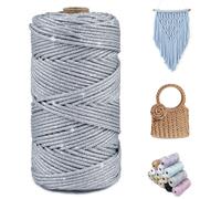 CAMAL Fil Polyester pour Sac au Crochet, Métallique Fil Macramé 3mm x 100m Étincelle Ficelle Macrame Corde pour Crochet Sac, Poupées, Macramé Mural, Décoration DIY (Argent coloré)
