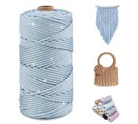CAMAL Fil Polyester pour Sac au Crochet, Métallique Fil Macramé 3mm x 100m Étincelle Ficelle Macrame Corde pour Crochet Sac, Poupées, Macramé Mural, Décoration DIY (Argent bleu ciel)