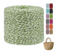 CAMAL Raphia à Crocheter, 2mm x 240m Luxe Rafia Naturel Bobine Fil Crochet pour Rafia Sac, Fil d'or de Raphia Papier pour Crochet DIY Artisanat, Chapeau d'Eté, Parti Decorative (Vert clair Blanc)
