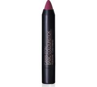 Camaleon Basic Colourstick N8 Aubergine 4g