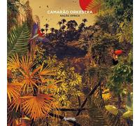 Camarao Orkestra - Nacao Africa
