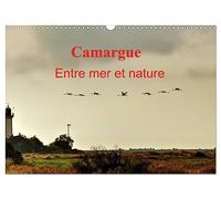 Camargue Entre mer et nature (Calendrier mural 2027 DIN A3 vertical), CALVENDO calendrier mensuel: Au coeur de la Camargue, entre mer et marais salants.