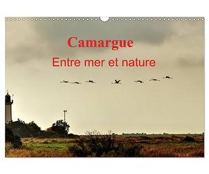 Camargue Entre mer et nature (Calendrier mural 2027 DIN A3 vertical), CALVENDO calendrier mensuel: Au coeur de la Camargue, entre mer et marais salants.