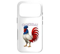 CAMBRAI France Français Souvenir Article Coque pour iPhone 17 Pro