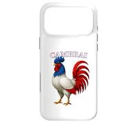 CAMBRAI France Français Souvenir Article Coque pour iPhone 17 Pro Max