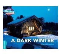 Cambridge Reading Adventures A Dark Winter Turquoise Band by Claire Llewellyn Claire Llewellyn (Auteur)