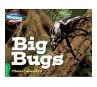 Cambridge Reading Adventures Big Bugs Green Band