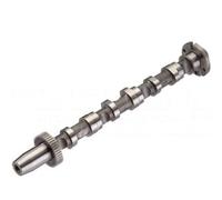 Came Pour Cylindre 4-6 Arbre Coulé KOLBENSCHMIDT Pour Entre Autres AUDI A6