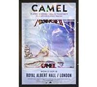 Camel - at The Royal Albert Hall [Import]