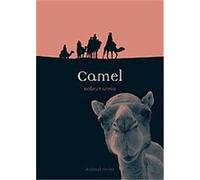 Camel, Reaktion Books - Animal Robert Irwin (Auteur)