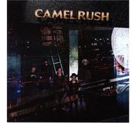 Camel Rush - Realism