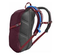 CAMELBAK Daystar Lot de 16 sachets pour Femme Taille Unique Wine-Tasting/Charcoal