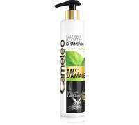 Delia Cosmetics Cameleo BB shampoing à la kératine pour cheveux abîmés 250 ml